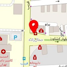 دکتر مهدی کریمی