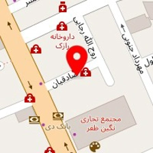 دکتر نسرین دودانگی