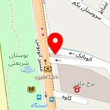 دکتر انوشه صفر چراتی