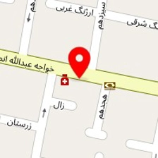 دکتر مهدی بینا