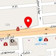 دکتر فاطمه ثمنی 
