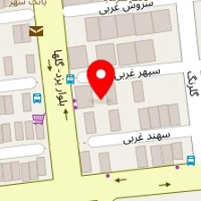 دکتر نادر انوشه