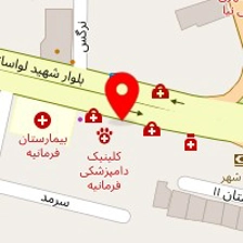دکتر شایان شاهدی