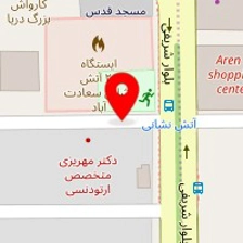 دکتر ساناز نیری