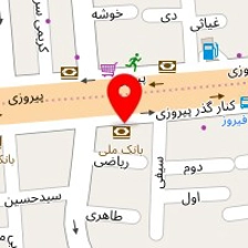 دکتر فرشته آرین فر