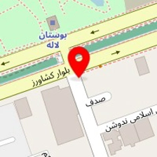 دکتر ضیا امامی