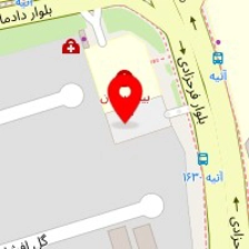 دکتر محمد سپهدوست