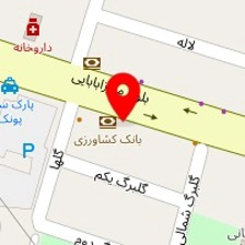 دکتر جینا بهفر