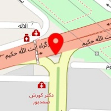 دکتر مژگان کامکار
