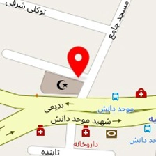 دکتر ترانه همتاپور