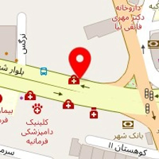 دکتر نسرین صفی الدین