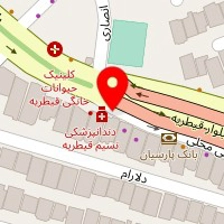 دکتر محمدکیان راد