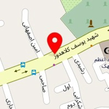 دکتر سیما شکری