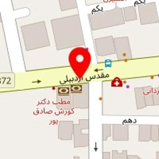 دکتر راشین ضرغام