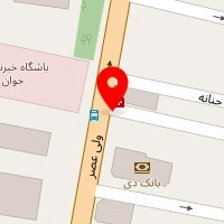 دکتر رویا درخشان