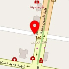 دکتر فریبا امیری