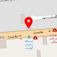 دکتر یاسمن بهفر
