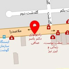 دکتر نوشین سنگول