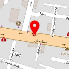 دکتر بنفشه امینی