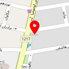 دکتر رقیه فرزدی