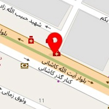 دکتر اکرم مهدی زاده