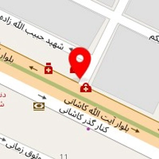 دکتر الیزا ولی محمدی