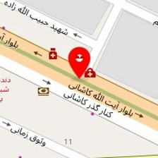 کارشناس مامایی شپول عظیمی