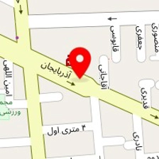 دکتر نسرین امیری