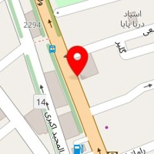 دکتر انسیه امین