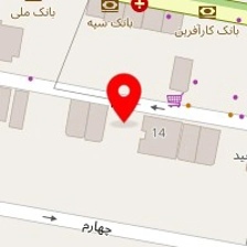 دکتر مینا مقصودی