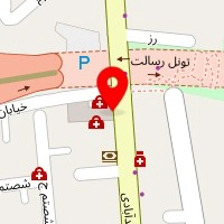 دکتر شهناز شایان فر