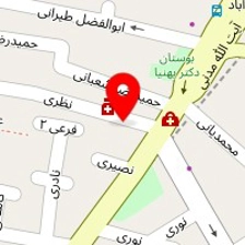 کارشناس مامایی مهشید فولادی