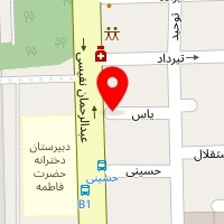 دکتر مینا رضوان نیا