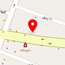 دکتر نازنین مطهری