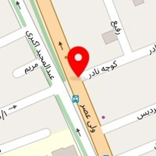 دکتر جلال الدین امیرچوپانی