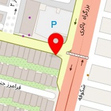 فیزیوتراپی آسیا