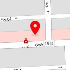 دکتر محمود جبل عاملی