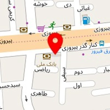 فیزیوتراپی امیر