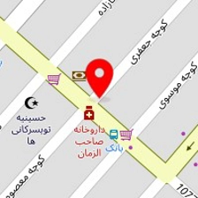 بازرگانی ناصری