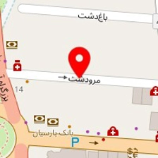 دکوراسیون داخلی لیون دکور