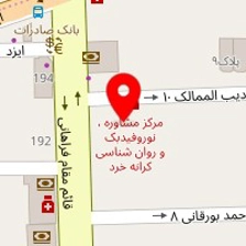 دکتر رضا امیری