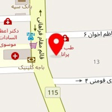دکتر نسرین السادات علوی