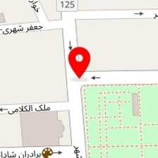 دکتر موسی مهدی زاده سراج
