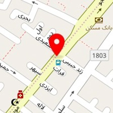 دکتر نگار چوبک