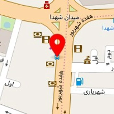 دکتر روشنک احمدپور