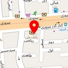 دکتر انوشه اسدی
