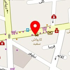 دکتر محمد دانشور