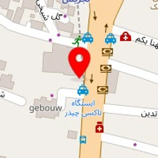 دکتر شاهرخ تقوی