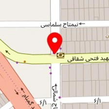 دکتر علی شمس زاده