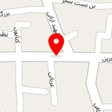 گل و گلدان اسپینو